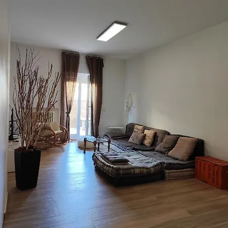 Iris Casa Noci